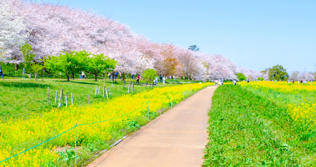 地域の連携推進